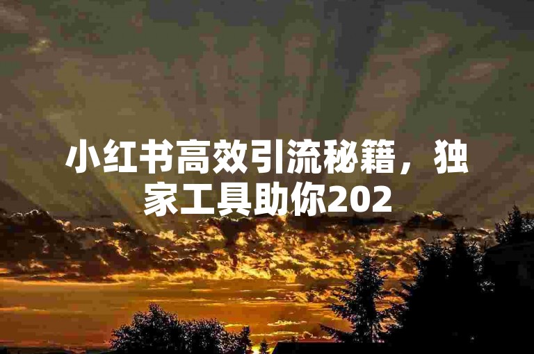 小红书高效引流秘籍，独家工具助你2025粉丝量飙升攻略！