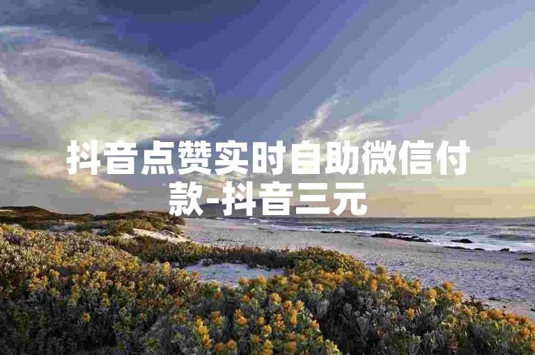 抖音点赞实时自助微信付款-抖音三元500赞链接分享攻略
