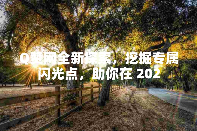 Q赞网全新探索，挖掘专属闪光点，助你在 2025 年大放异彩！