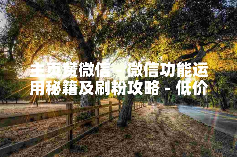 主页赞微信 - 微信功能运用秘籍及刷粉攻略 - 低价抖音粉丝平台