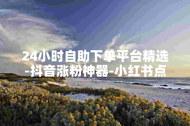 24小时自助下单平台精选-抖音涨粉神器-小红书点赞平台-极速下单稳定平台-超实惠业务自助下单平台