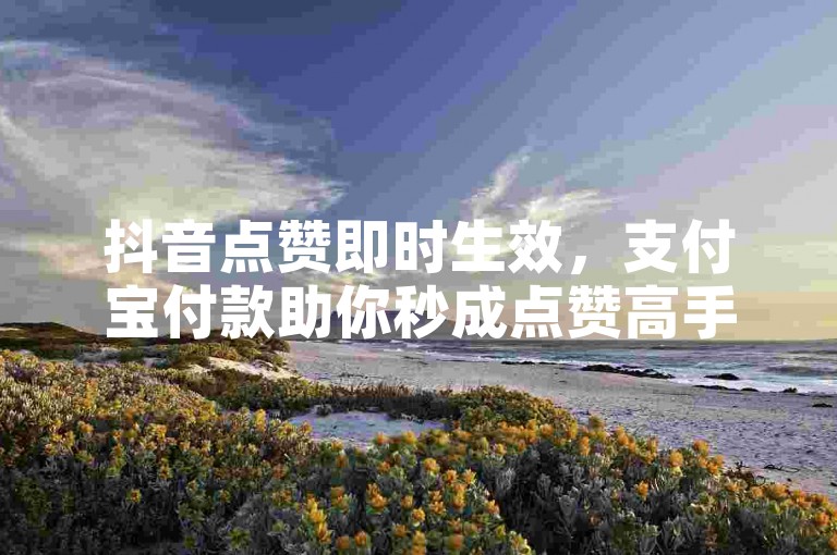 抖音点赞即时生效，支付宝付款助你秒成点赞高手