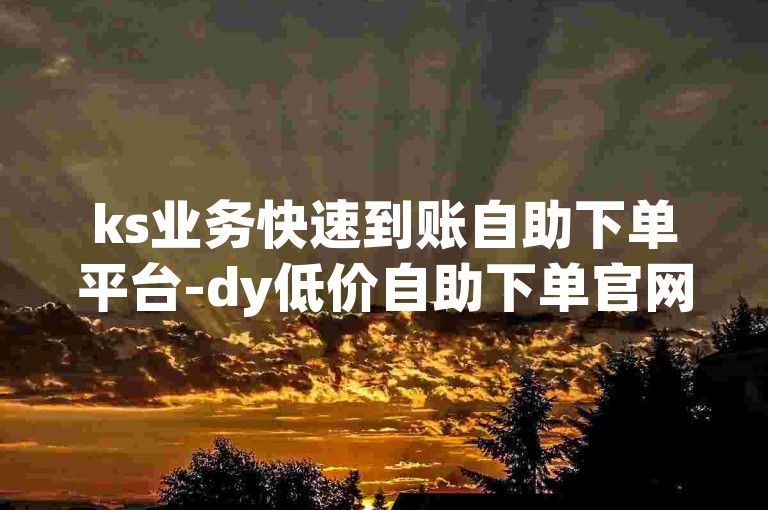 ks业务快速到账自助下单平台-dy低价自助下单官网