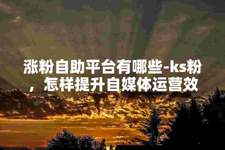涨粉自助平台有哪些-ks粉，怎样提升自媒体运营效果