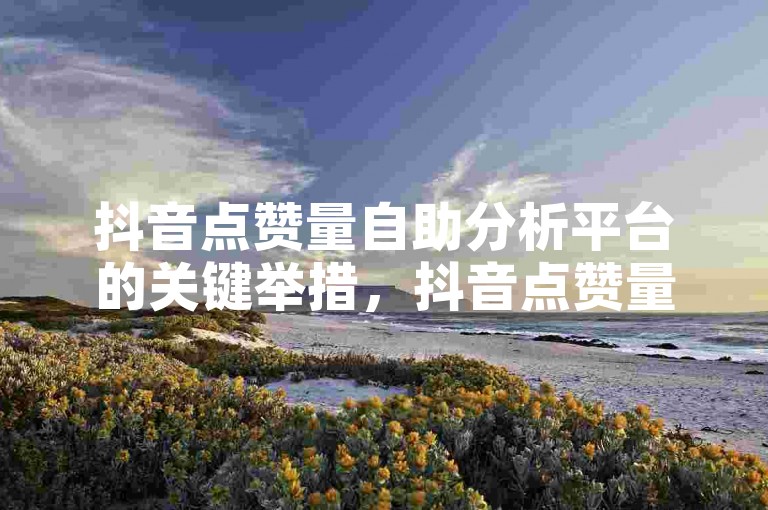 抖音点赞量自助分析平台的关键举措，抖音点赞量自助分析服务详解！新手必看！
