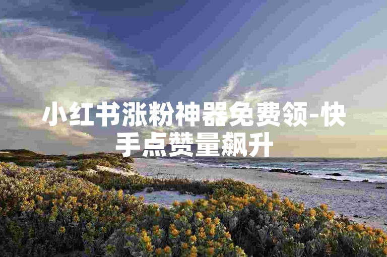 小红书涨粉神器免费领-快手点赞量飙升