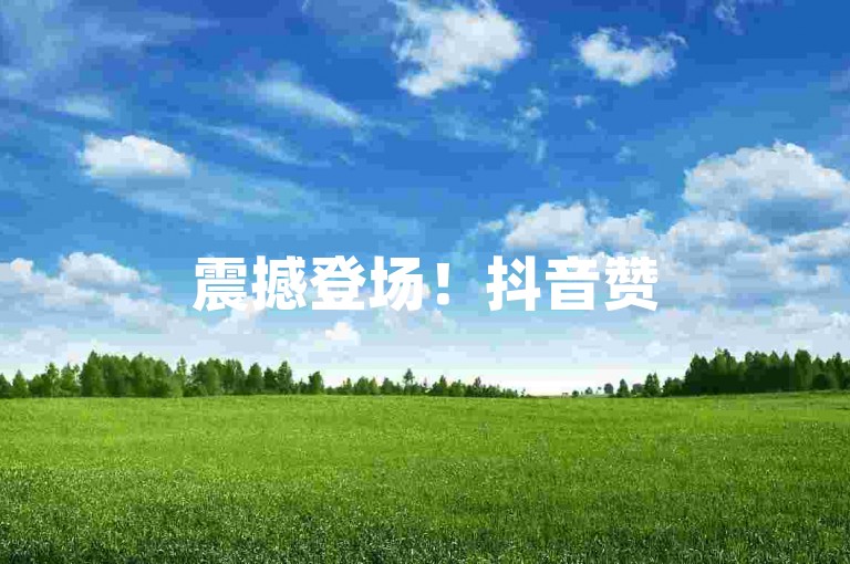 震撼登场！抖音赞 5 毛 800 起，助你作品狂揽热度，速来体验！