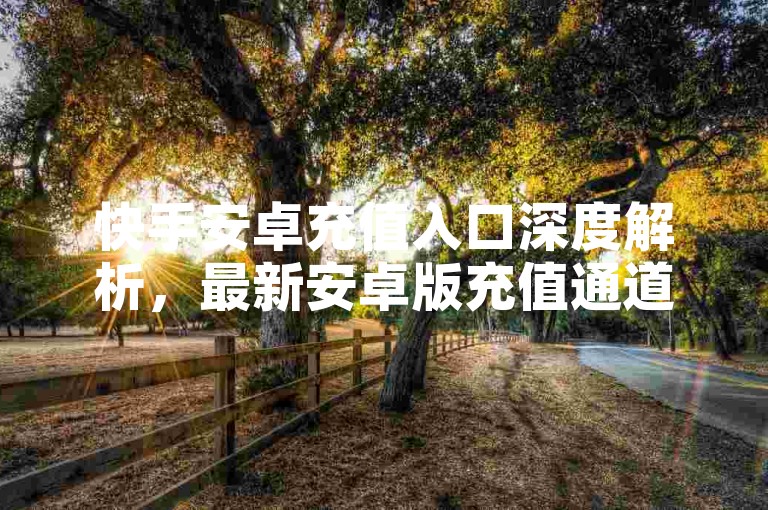 快手安卓充值入口深度解析，最新安卓版充值通道揭秘！2025必备技巧