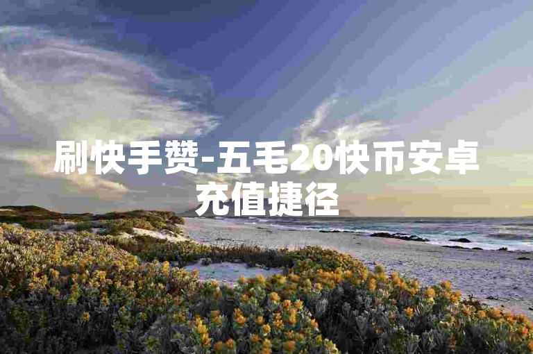 刷快手赞-五毛20快币安卓充值捷径