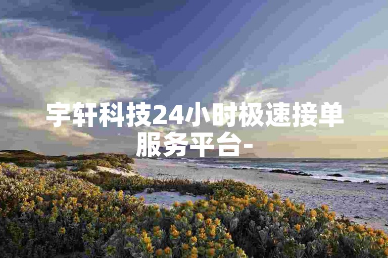 宇轩科技24小时极速接单服务平台-