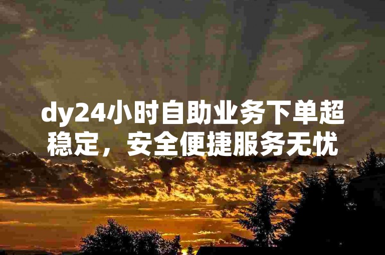 dy24小时自助业务下单超稳定，安全便捷服务无忧