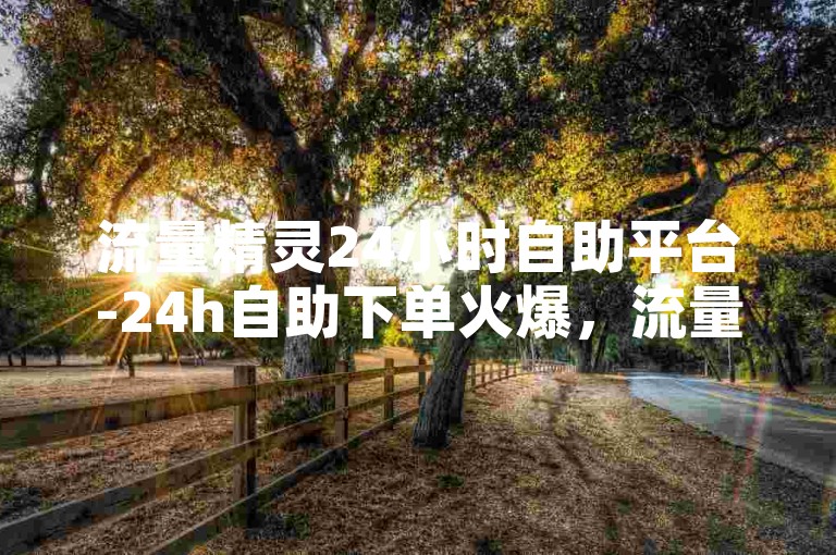 流量精灵24小时自助平台-24h自助下单火爆，流量助手一键启动SEO优化-ks业务自动下单平台-快手作品冲热度2024官方严正声明！