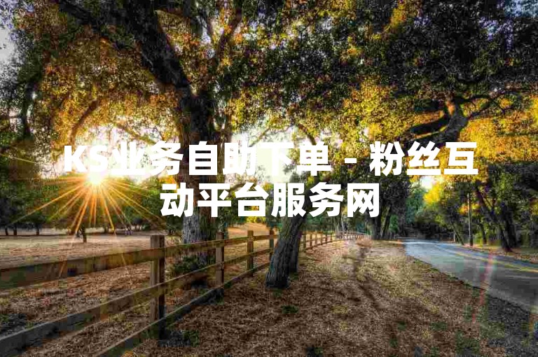 KS业务自助下单 - 粉丝互动平台服务网