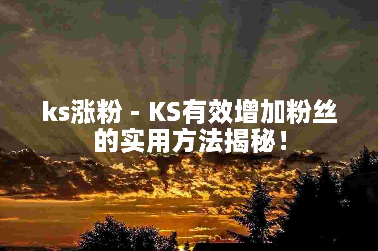 ks涨粉 - KS有效增加粉丝的实用方法揭秘！