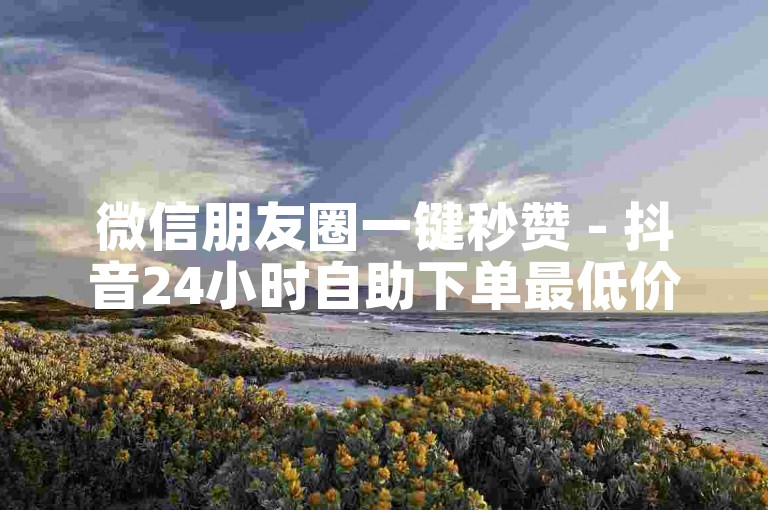 微信朋友圈一键秒赞 - 抖音24小时自助下单最低价平台