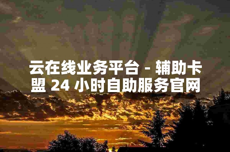 云在线业务平台 - 辅助卡盟 24 小时自助服务官网