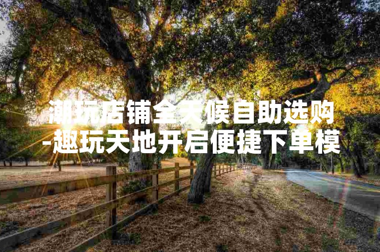 潮玩店铺全天候自助选购-趣玩天地开启便捷下单模式