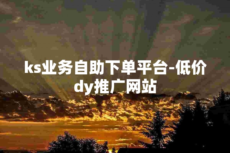 ks业务自助下单平台-低价dy推广网站