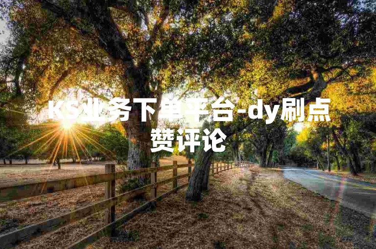 KS业务下单平台-dy刷点赞评论
