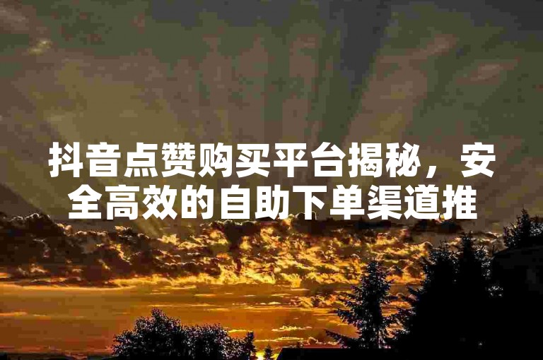 抖音点赞购买平台揭秘，安全高效的自助下单渠道推荐，24小时自动发卡服务大揭秘