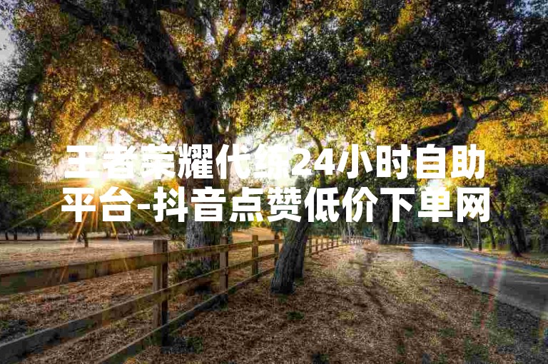 王者荣耀代练24小时自助平台-抖音点赞低价下单网站优惠