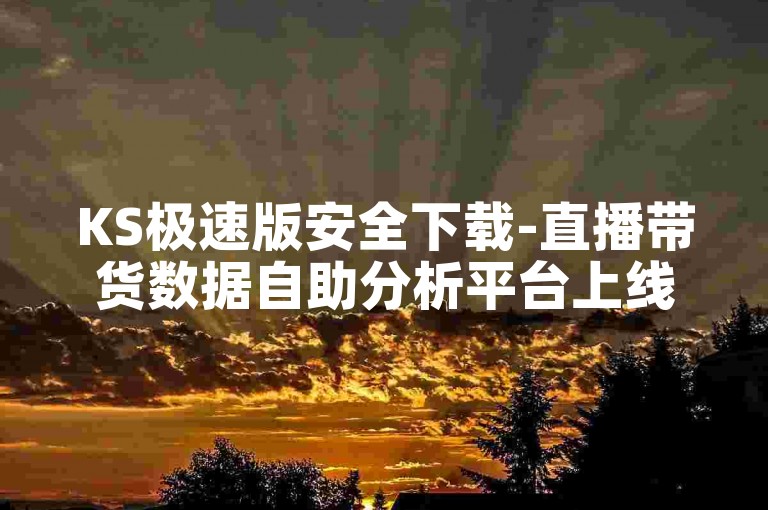 KS极速版安全下载-直播带货数据自助分析平台上线