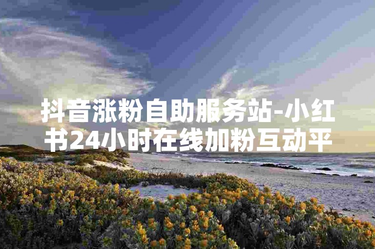 抖音涨粉自助服务站-小红书24小时在线加粉互动平台