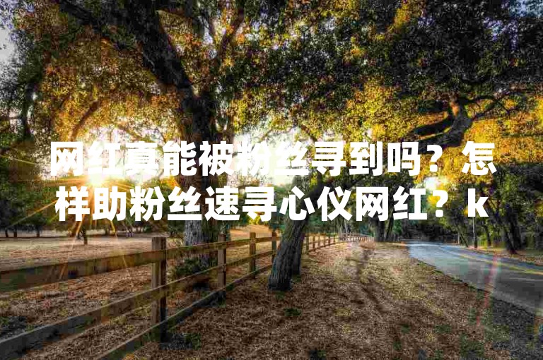 网红真能被粉丝寻到吗？怎样助粉丝速寻心仪网红？ks点赞业务24h，dy低价业务下单攻略！