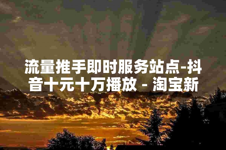 流量推手即时服务站点-抖音十元十万播放 - 淘宝新客助力门户 - 微信业务自助中心