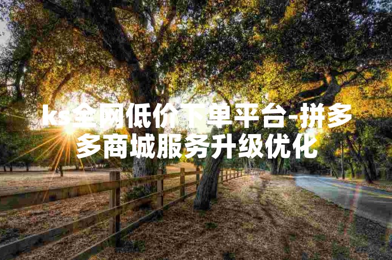 ks全网低价下单平台-拼多多商城服务升级优化