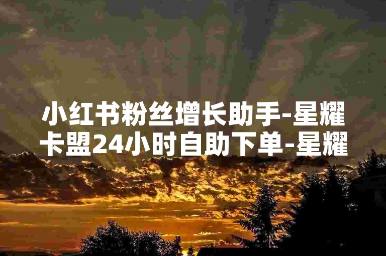 小红书粉丝增长助手-星耀卡盟24小时自助下单-星耀卡盟随时在线接单