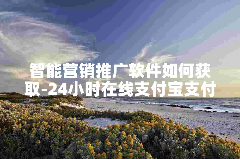 智能营销推广软件如何获取-24小时在线支付宝支付自助下单
