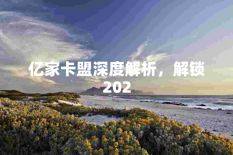 亿家卡盟深度解析，解锁2025财富密码，小白龙马山领航-ks24h自助服务新体验