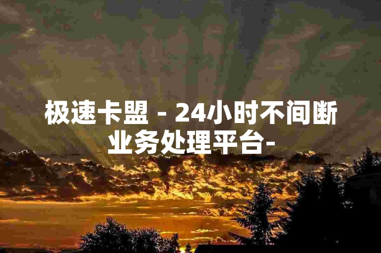 极速卡盟 - 24小时不间断业务处理平台-