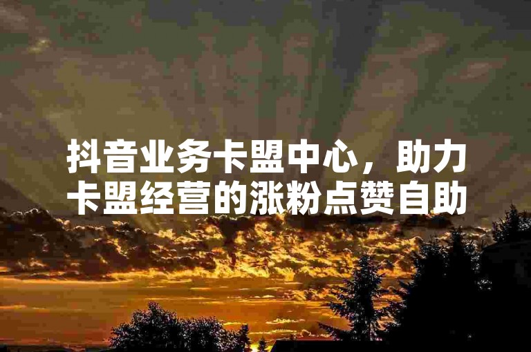 抖音业务卡盟中心，助力卡盟经营的涨粉点赞自助平台24小时服务