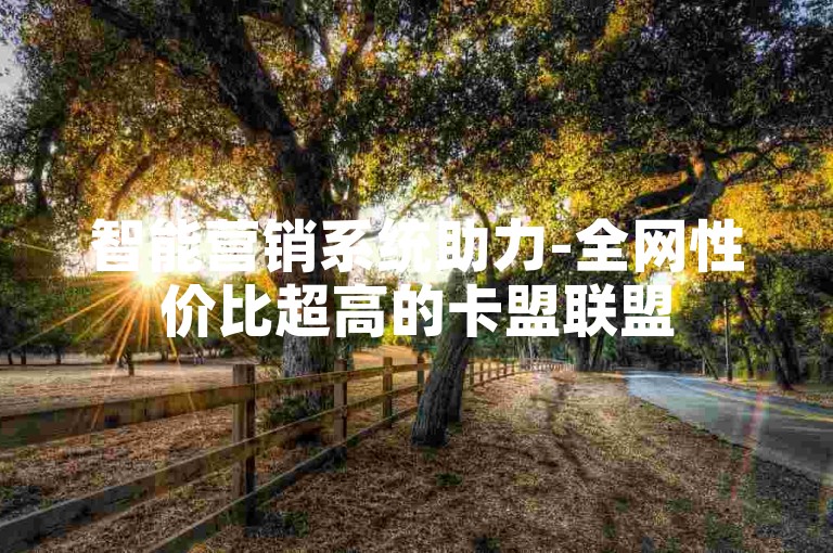 智能营销系统助力-全网性价比超高的卡盟联盟