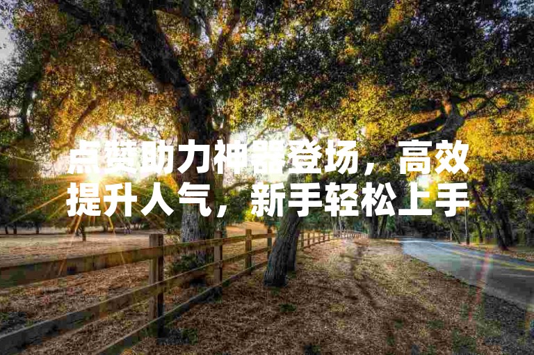 点赞助力神器登场，高效提升人气，新手轻松上手！