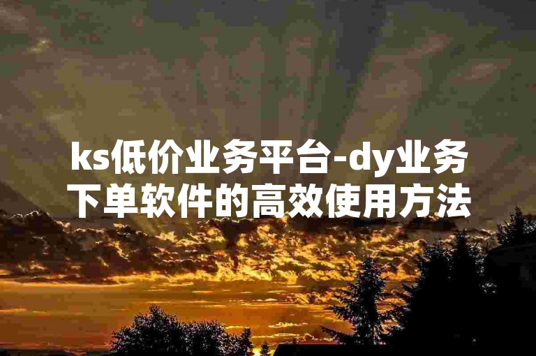 ks低价业务平台-dy业务下单软件的高效使用方法详解