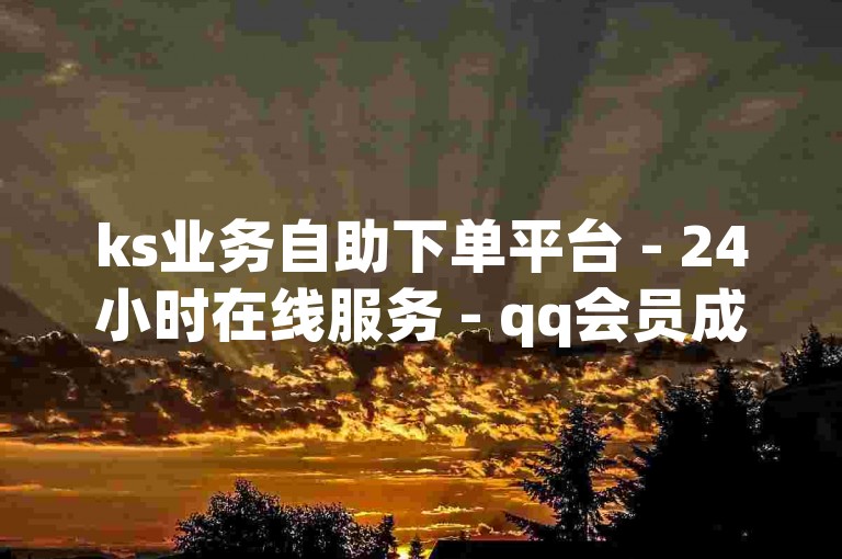 ks业务自助下单平台 - 24小时在线服务 - qq会员成长教程及音乐下单