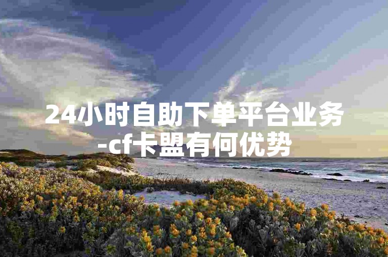 24小时自助下单平台业务-cf卡盟有何优势