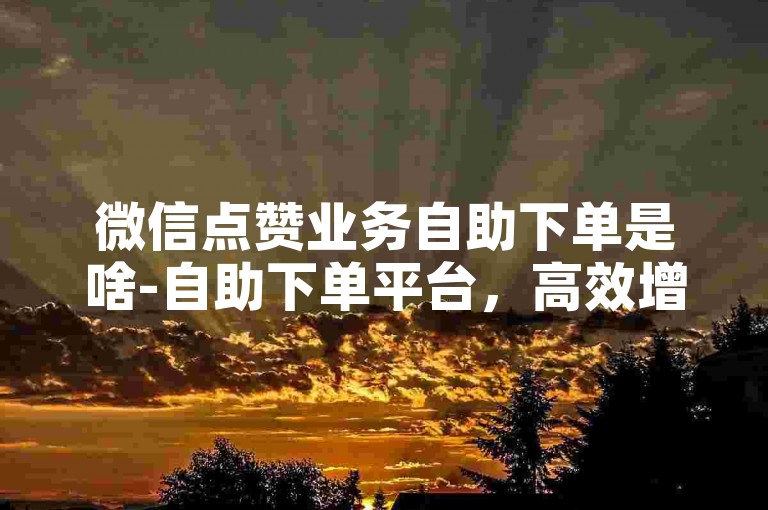 微信点赞业务自助下单是啥-自助下单平台，高效增加赞数