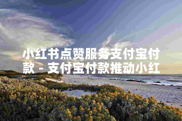 小红书点赞服务支付宝付款 - 支付宝付款推动小红点赞服务优化用户感受