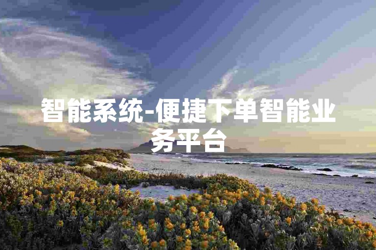 智能系统-便捷下单智能业务平台
