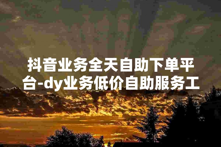 抖音业务全天自助下单平台-dy业务低价自助服务工具