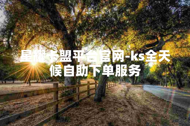 星耀卡盟平台官网-ks全天候自助下单服务