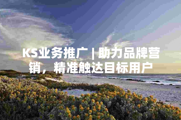 KS业务推广 | 助力品牌营销，精准触达目标用户
