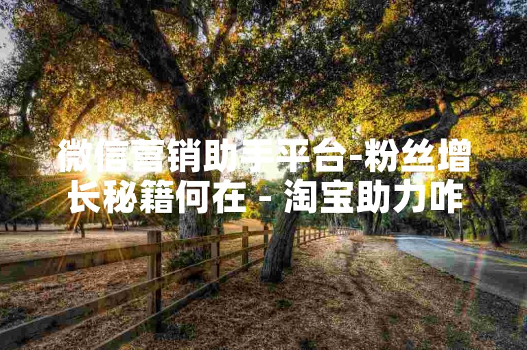 微信营销助手平台-粉丝增长秘籍何在 - 淘宝助力咋售卖 - ks业务自助下单站点