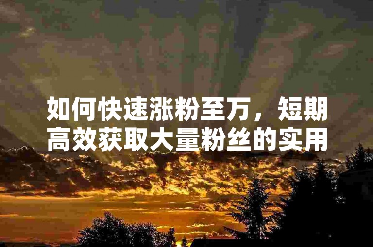 如何快速涨粉至万，短期高效获取大量粉丝的实用方法？-成语词义解析_iPhone89.7.374