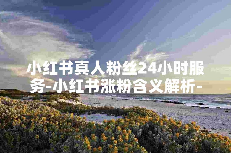 小红书真人粉丝24小时服务-小红书涨粉含义解析-微博业务下单平台超低价-xh互动优化团队深度剖析