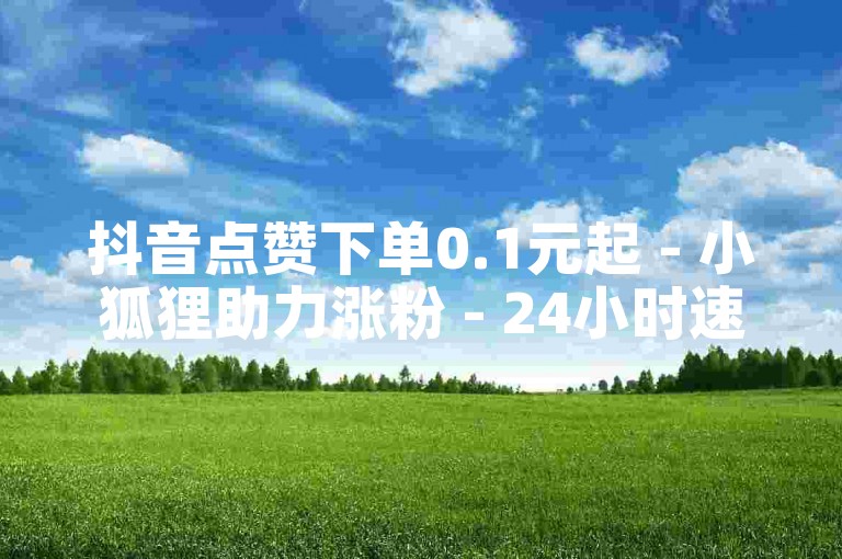 抖音点赞下单0.1元起 - 小狐狸助力涨粉 - 24小时速达 - 实惠自助平台